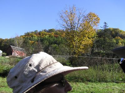 image49.jpg