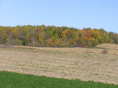 image61.jpg