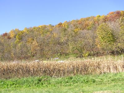 image63.jpg