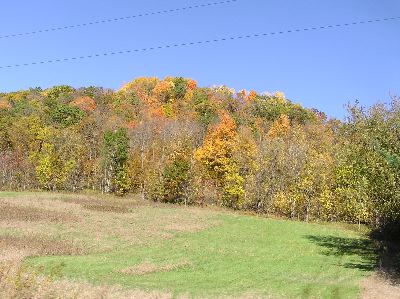 image77.jpg
