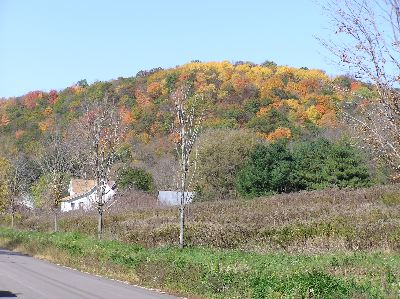 image80.jpg