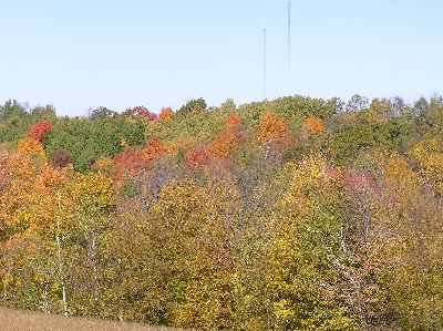 image96.jpg