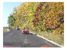 thumbnail15.jpg