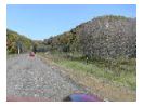 thumbnail39.jpg