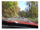 thumbnail41.jpg