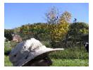 thumbnail49.jpg